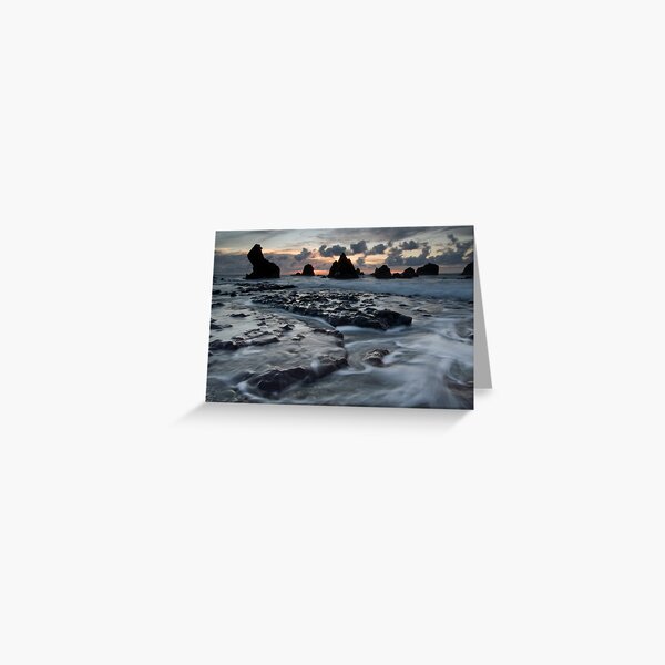Seal Point. Greeting Card