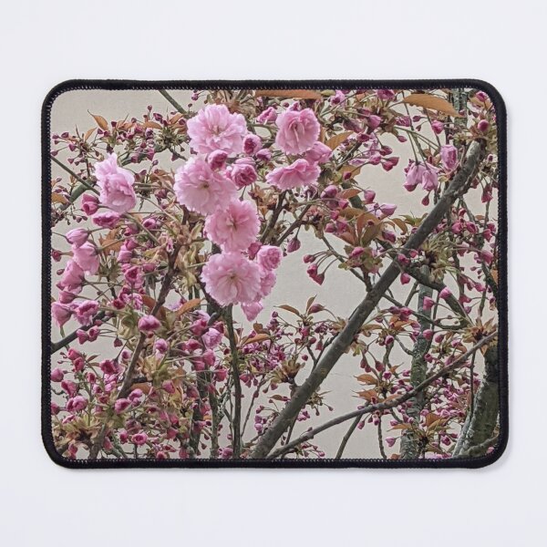 Item preview, Pink Cherry Blossoms  designed and sold by ALSandersBetterDays.