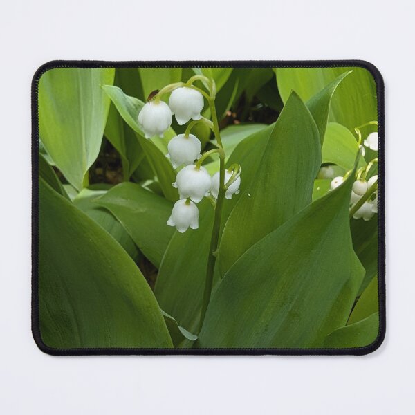 Item preview, Lily of the Valley Photograph designed and sold by JennySolidago.