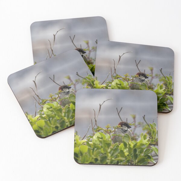 Item preview, A House Sparrow in Gower designed and sold by TomRomanPhotos.
