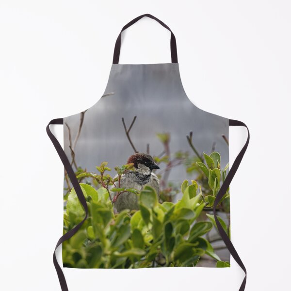 Item preview, A House Sparrow in Gower designed and sold by TomRomanPhotos.