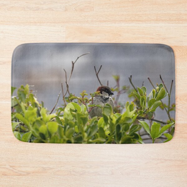 Item preview, A House Sparrow in Gower designed and sold by TomRomanPhotos.