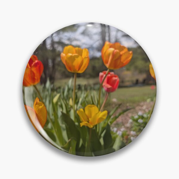 Item preview, Tulips Photograph designed and sold by JennySolidago.