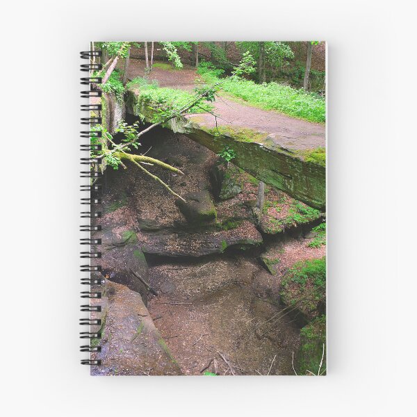 Item preview, Rockbridge State Nature Preserve Hocking Hills Oh designed and sold by LisaWootenPhoto.