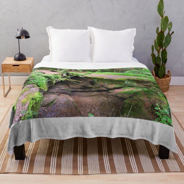 Item preview, Rockbridge State Nature Preserve Hocking Hills Oh designed and sold by LisaWootenPhoto.