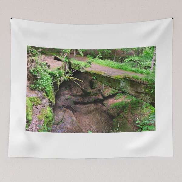 Item preview, Rockbridge State Nature Preserve Hocking Hills Oh designed and sold by LisaWootenPhoto.
