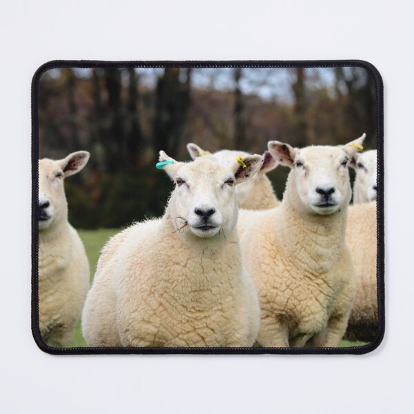 Item preview, Curious Sheep Flock in the English Countryside designed and sold by leonwoods.