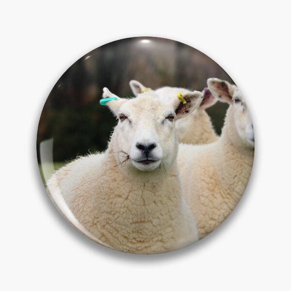 Item preview, Curious Sheep Flock in the English Countryside designed and sold by leonwoods.
