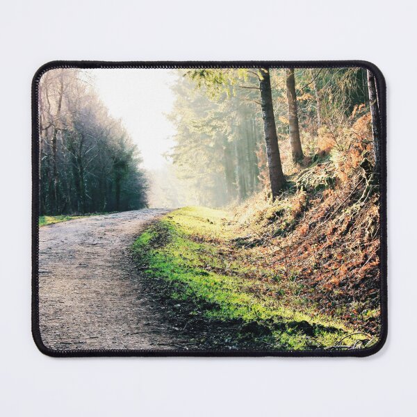 Item preview, Sunlight Through the Trees at Haldon Forest Devon designed and sold by leonwoods.