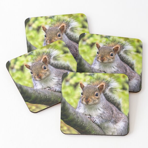 Item preview, Curious Grey Squirrel Sitting in a Tree designed and sold by leonwoods.