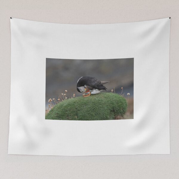 Item preview, A puffin preening designed and sold by wildlifephoto.