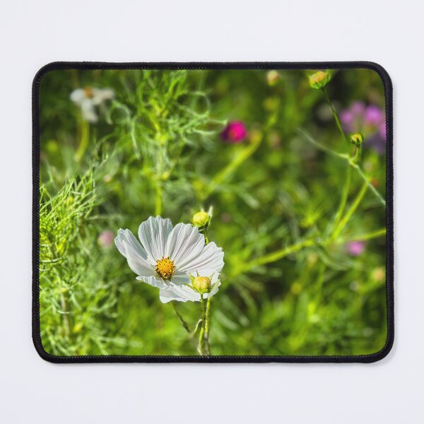 Item preview, White Cosmos Flower in a Colourful Summer Garden designed and sold by leonwoods.
