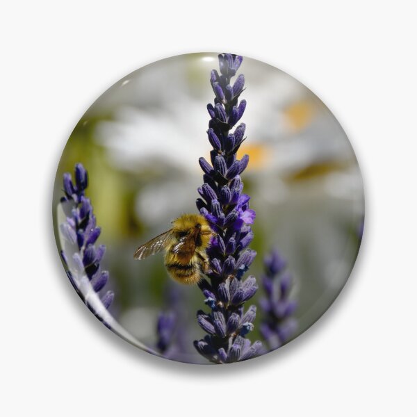 Item preview, Bee on lavender  designed and sold by Cblifeisgood.