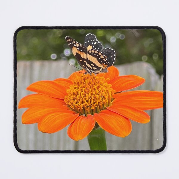 Item preview, Garden Visitor designed and sold by Catherine Kerr.