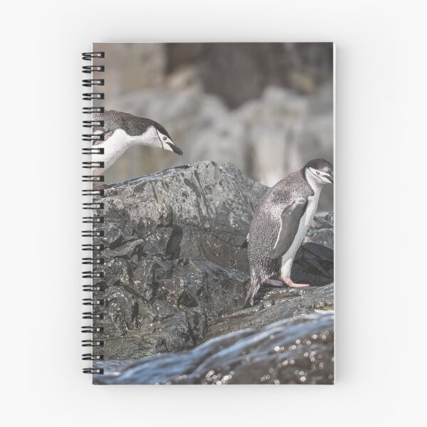 Item preview, Chinstrap Penguins on Rocky Shore designed and sold by PhotoArt by Joan Carroll.