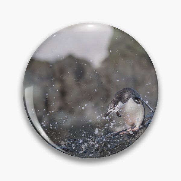 Item preview, Penguin Surrounded by Splashing Water Half Moon Island designed and sold by PhotoArt by Joan Carroll.