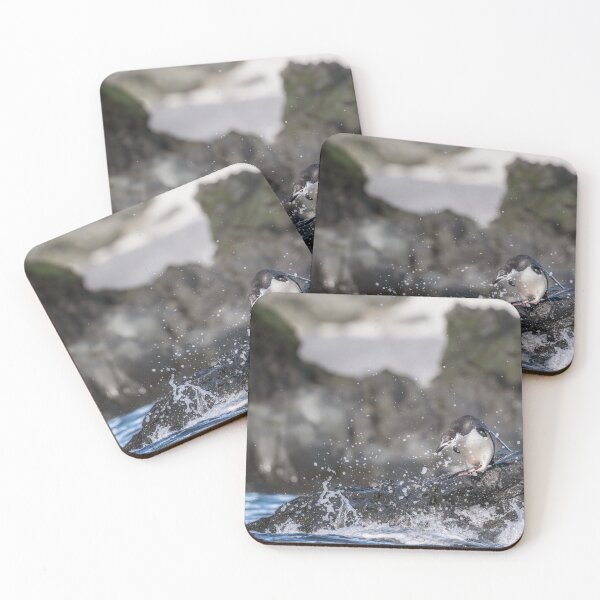 Item preview, Penguin Surrounded by Splashing Water Half Moon Island designed and sold by PhotoArt by Joan Carroll.