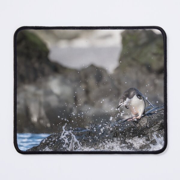 Item preview, Penguin Surrounded by Splashing Water Half Moon Island designed and sold by PhotoArt by Joan Carroll.