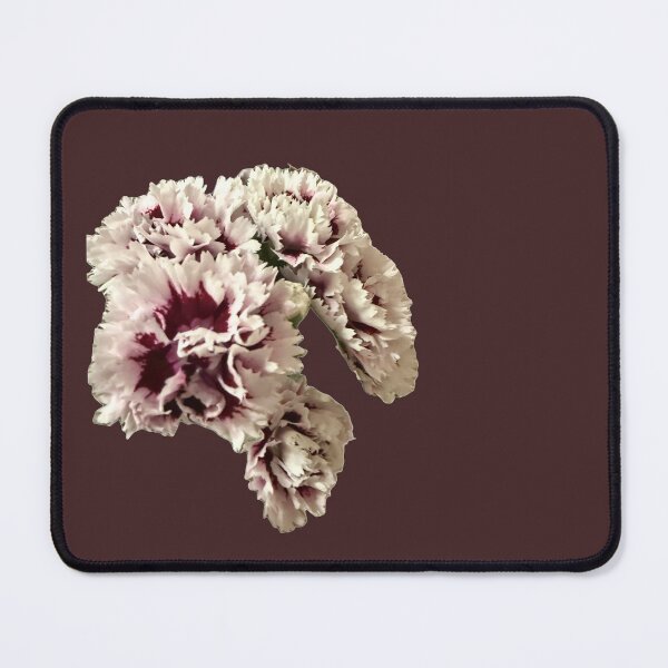 Item preview, Luxe Ruffled Dianthus (Carnation) Graphic Art designed and sold by BalkanBloom.