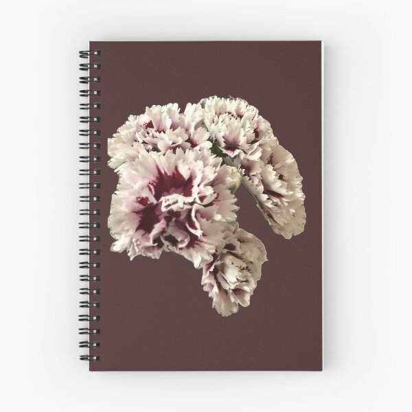 Item preview, Luxe Ruffled Dianthus (Carnation) Graphic Art designed and sold by BalkanBloom.