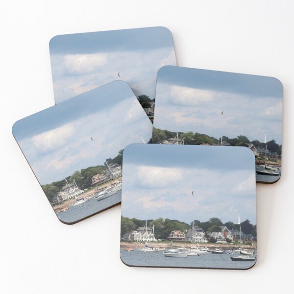 Item preview, Seagull in Flight over Salem Sailboats designed and sold by HematiteDesign.