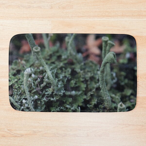 Item preview, Miniature Forest Pixie Cup Lichen Macro designed and sold by vikko-art.