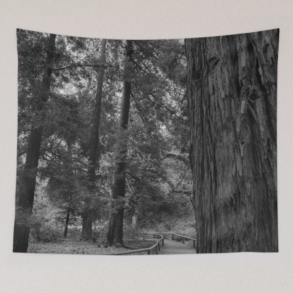Item preview, Forest Path designed and sold by Douglas E. Welch Design and Photography.