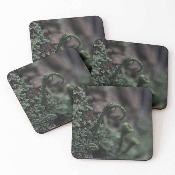 Item preview, Moody Curled Forest Lichen Macro Photography designed and sold by vikko-art.