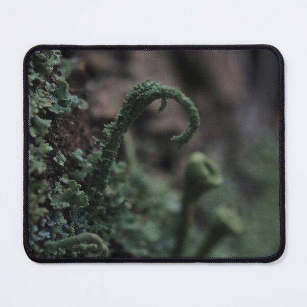 Item preview, Moody Curled Forest Lichen Macro Photography designed and sold by vikko-art.