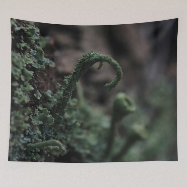 Item preview, Moody Curled Forest Lichen Macro Photography designed and sold by vikko-art.