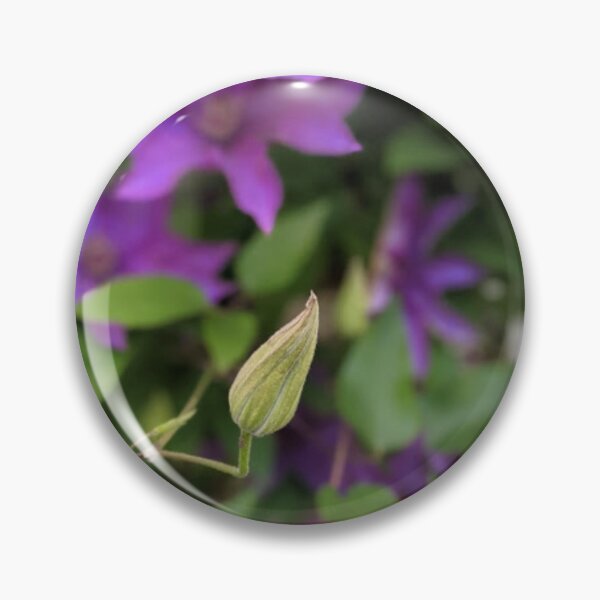 Item preview, Late Bloomer designed and sold by Nature's Third Acre.