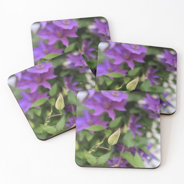 Item preview, Late Bloomer designed and sold by Nature's Third Acre.