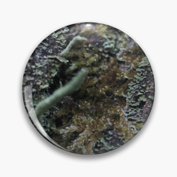 Item preview, Moody Forest Moss and Lichen Bark Macro designed and sold by vikko-art.
