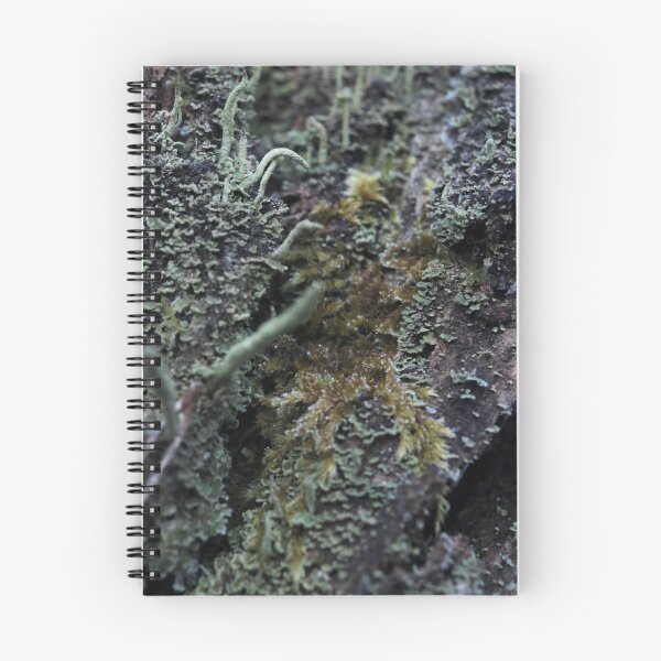 Item preview, Moody Forest Moss and Lichen Bark Macro designed and sold by vikko-art.