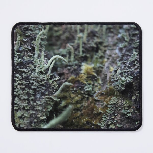 Item preview, Moody Forest Moss and Lichen Bark Macro designed and sold by vikko-art.