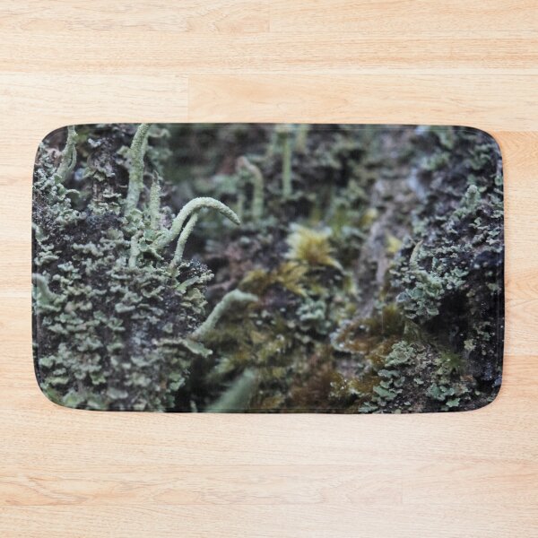 Item preview, Moody Forest Moss and Lichen Bark Macro designed and sold by vikko-art.