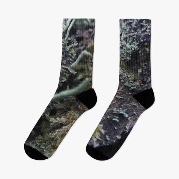 Item preview, Moody Forest Moss and Lichen Bark Macro designed and sold by vikko-art.