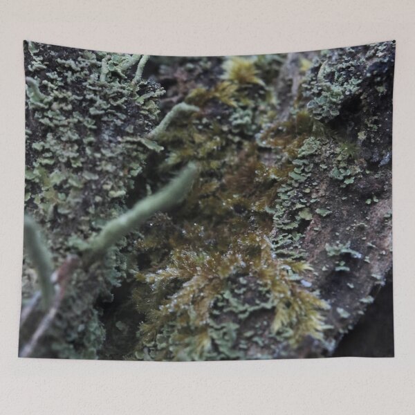 Item preview, Moody Forest Moss and Lichen Bark Macro designed and sold by vikko-art.