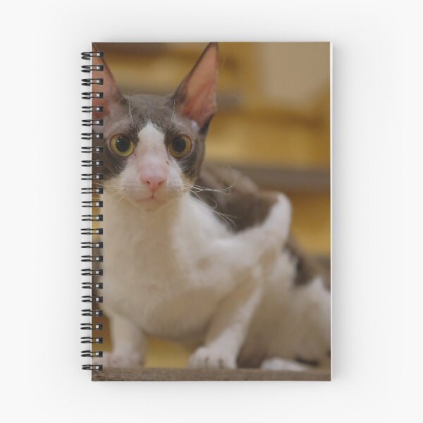 Item preview, Cornish Rex designed and sold by MartinSlow.