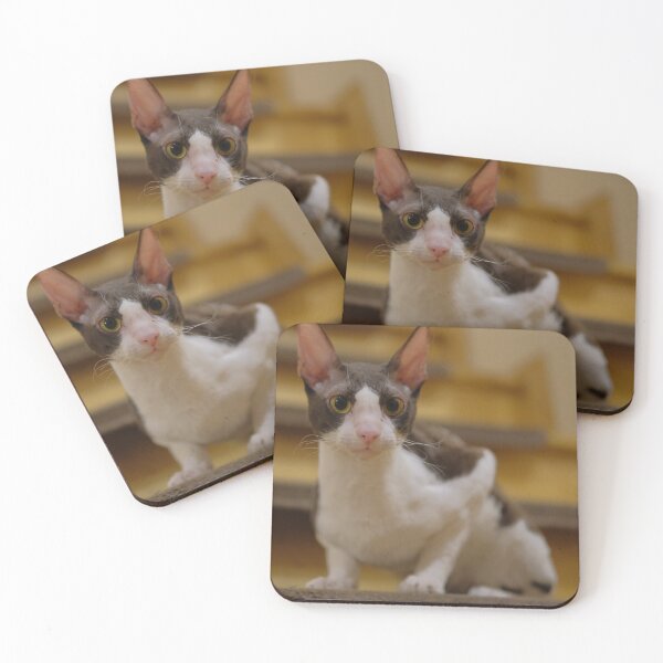 Item preview, Cornish Rex designed and sold by MartinSlow.
