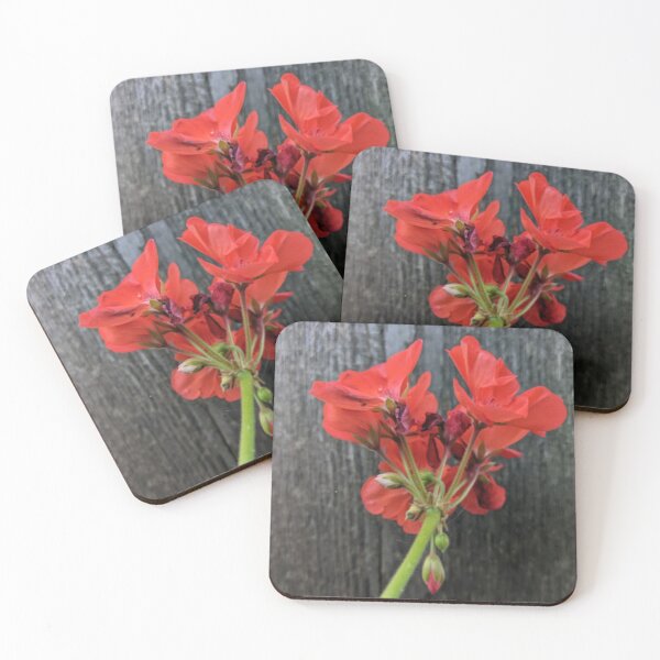 Item preview, Red Geranium designed and sold by Nature's Third Acre.