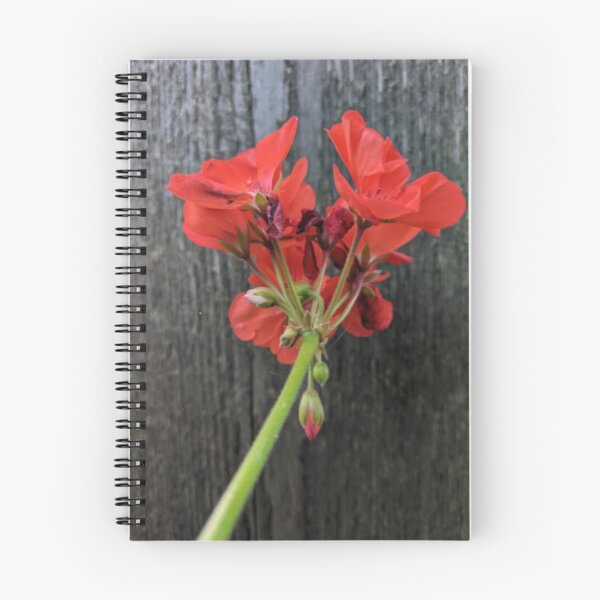 Item preview, Red Geranium designed and sold by Nature's Third Acre.