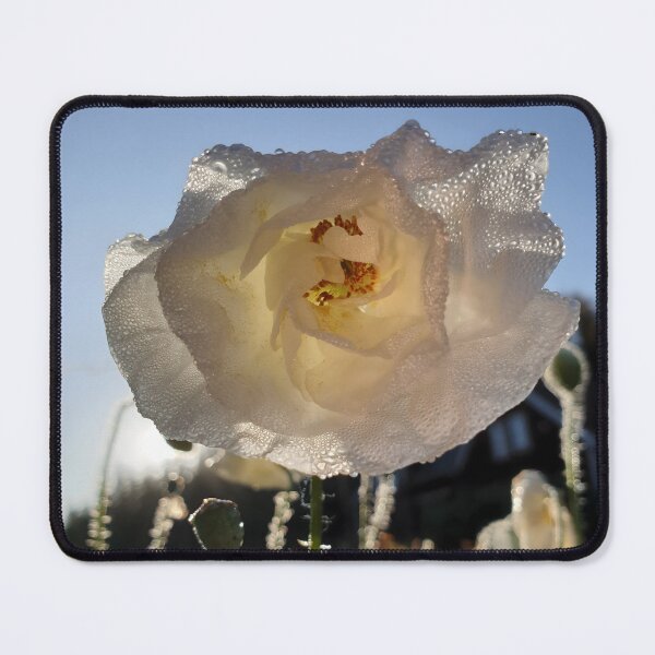 Item preview, White Poppy designed and sold by CalmnessbyChoice.