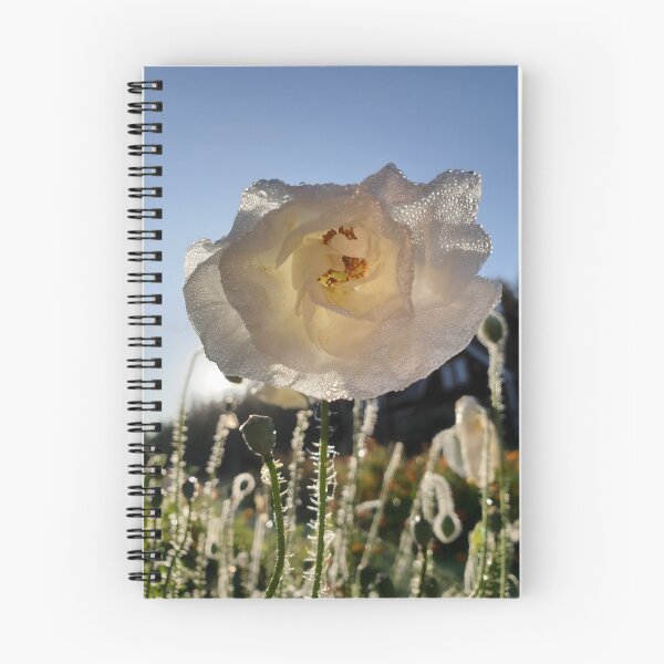 Item preview, White Poppy designed and sold by CalmnessbyChoice.