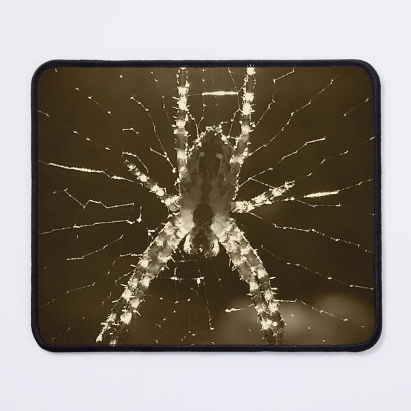 Item preview, Black and White Spider in Web designed and sold by CalmnessbyChoice.