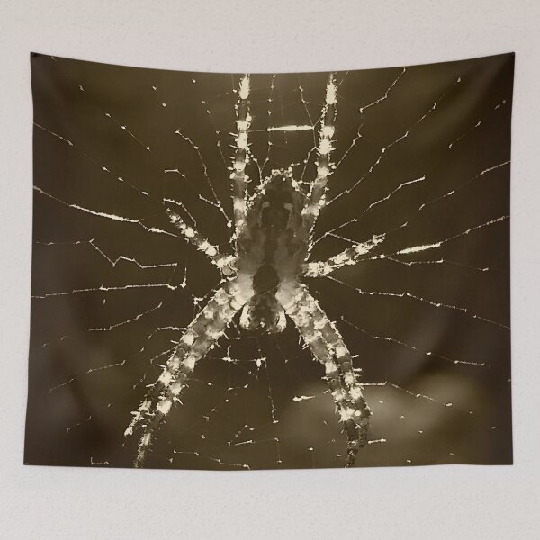 Item preview, Black and White Spider in Web designed and sold by CalmnessbyChoice.