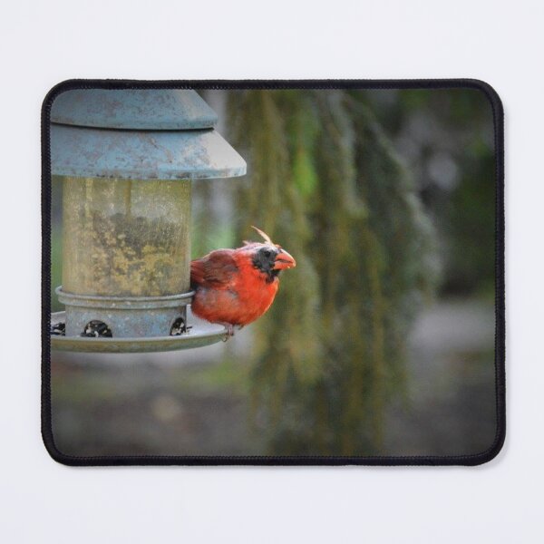 Item preview, Survivor designed and sold by Nature's Third Acre.