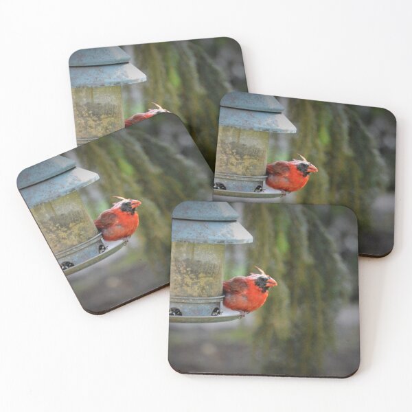 Item preview, Survivor designed and sold by Nature's Third Acre.