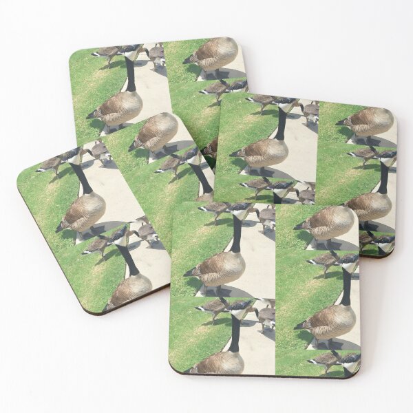 Item preview, Canada Geese Flock Real Photo Print designed and sold by KaleChub.