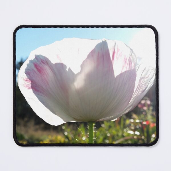 Item preview, White Pink Poppy designed and sold by CalmnessbyChoice.